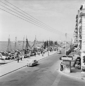 paralia-thumb-medium