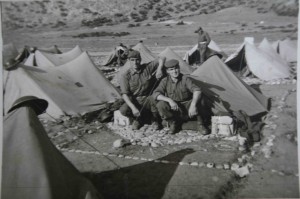 θερινή διαβίωση